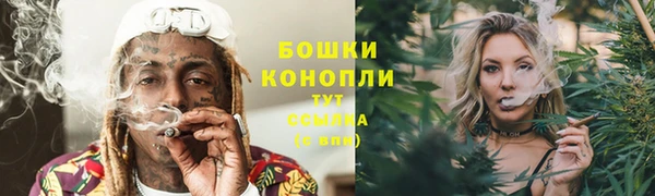 apvp Горняк