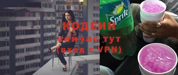 apvp Горняк