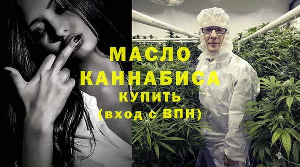 apvp Горняк