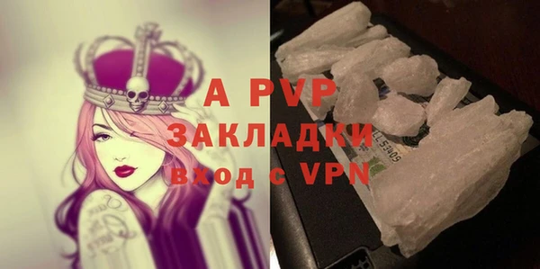 apvp Горняк