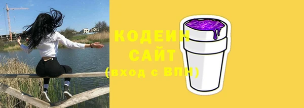 apvp Горняк