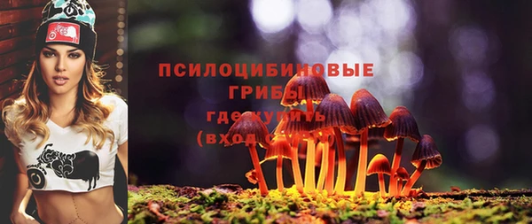 apvp Горняк
