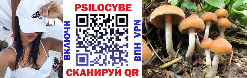 Купить закладки  Спас-Деменск  Псилоцибиновые грибы мухоморы 